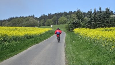 Wirtschaftsweg im Brohltal - leider kein offizieller Radweg