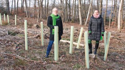 Wald Sinzig: Stefani Jürries und Ralf Urban