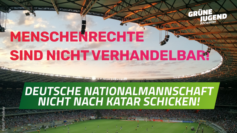 Die deutsche Fußballnationalmannschaft sollte nicht an der WM in Katar teilnehmen!