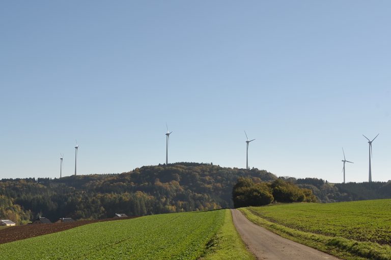 Windenergie im Bölinger Wald – Eine Chance für die Grafschaft