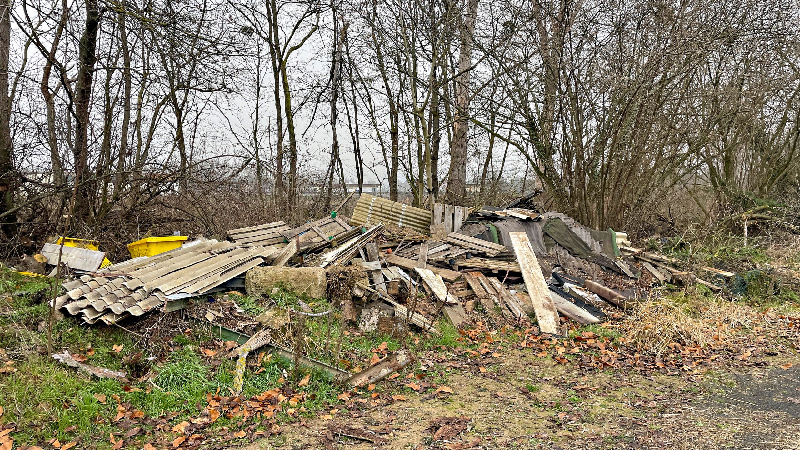 Müllablagerungen an der Ahr in der Nähe der Harbachmündung.