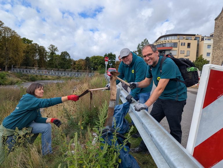Grüne unterstützen DLRG beim Ahr-Clean-Up
