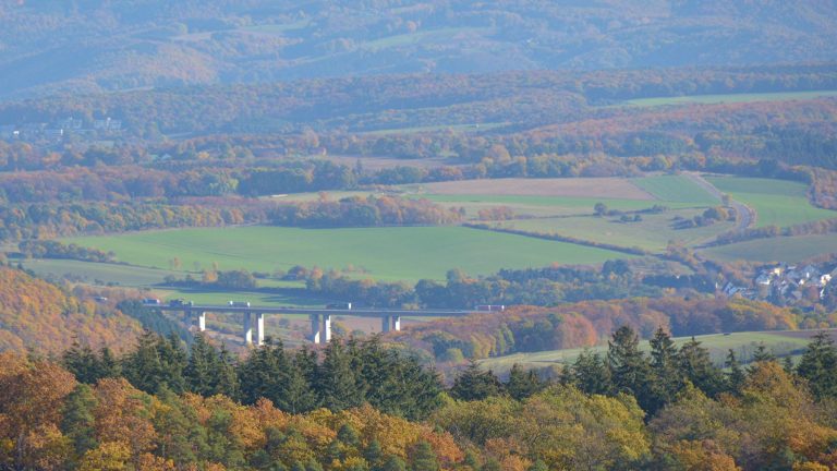 Veraltete Verkehrspolitik auf Kosten von Klima- und Artenschutz