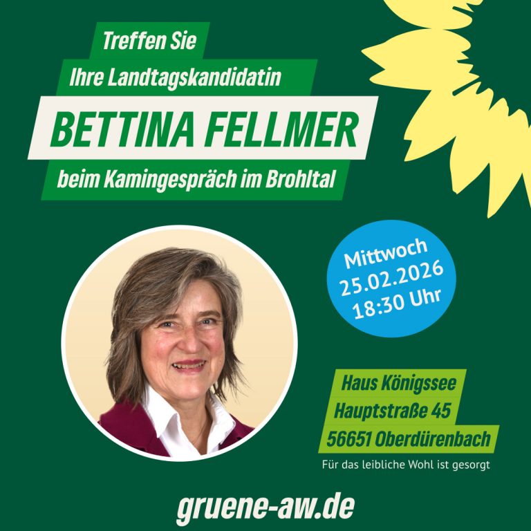 Kaminabend mit Direktkandidatin Bettina Fellmer