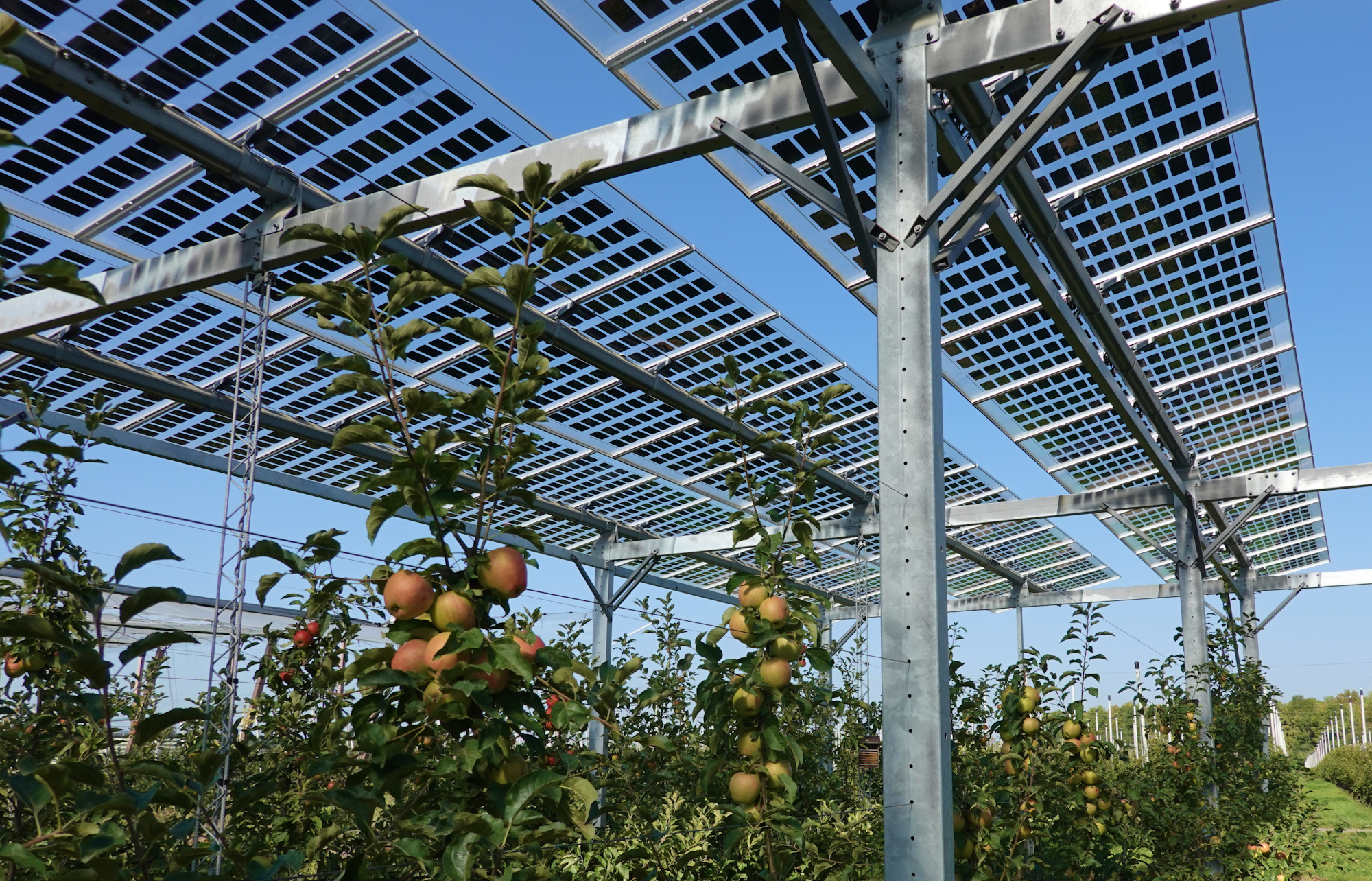 Erneuerbare Energien wie diese PV-Anlage sind der Schlüssel zu einer enkeltauglichen Energieversorgung. (Foto: Albert Dietz)