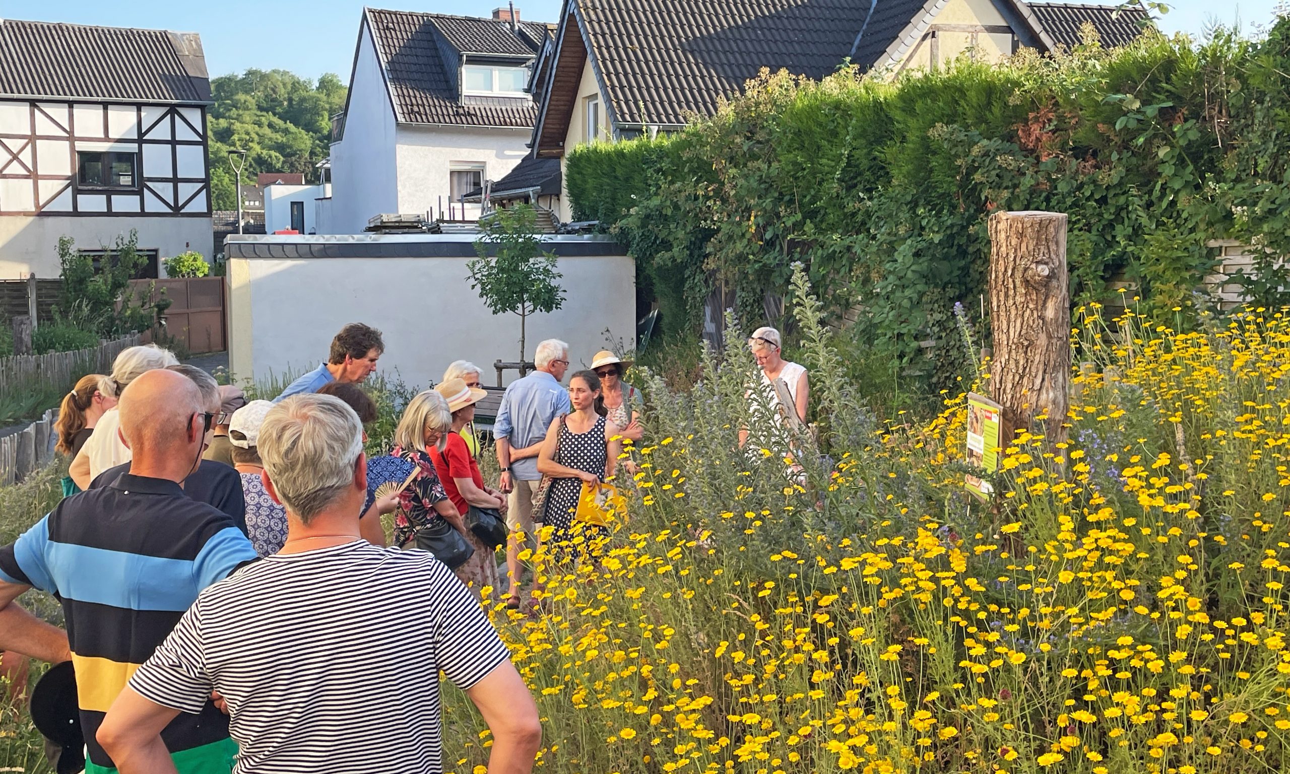Naturfachliche Führung durch den Sinziger PikoPark (Foto: Ralf Urban)